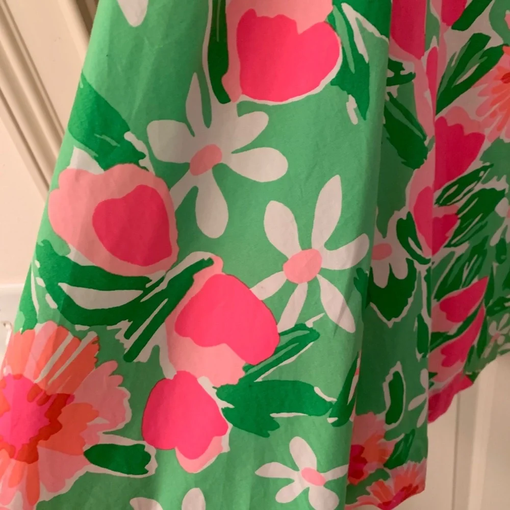 Lilly Pulitzer dress - Picture 4 of 8
